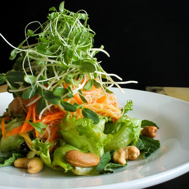 Dinner Delights: Bar & Grill Favorites